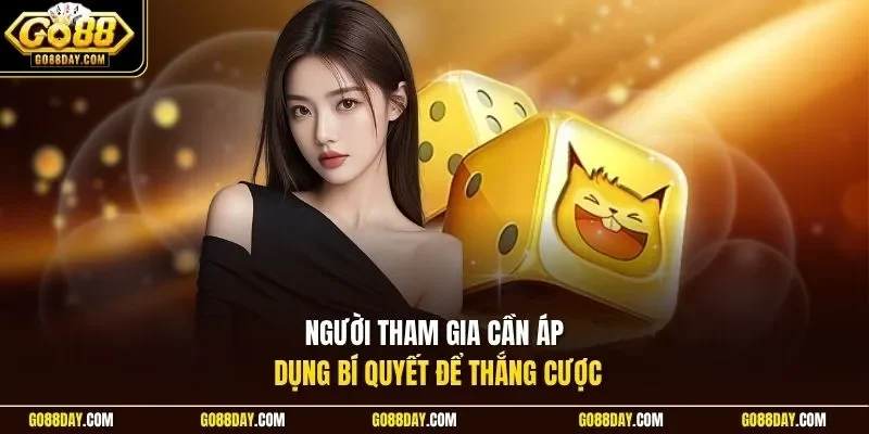 Người tham gia cần áp dụng bí quyết để thắng cược